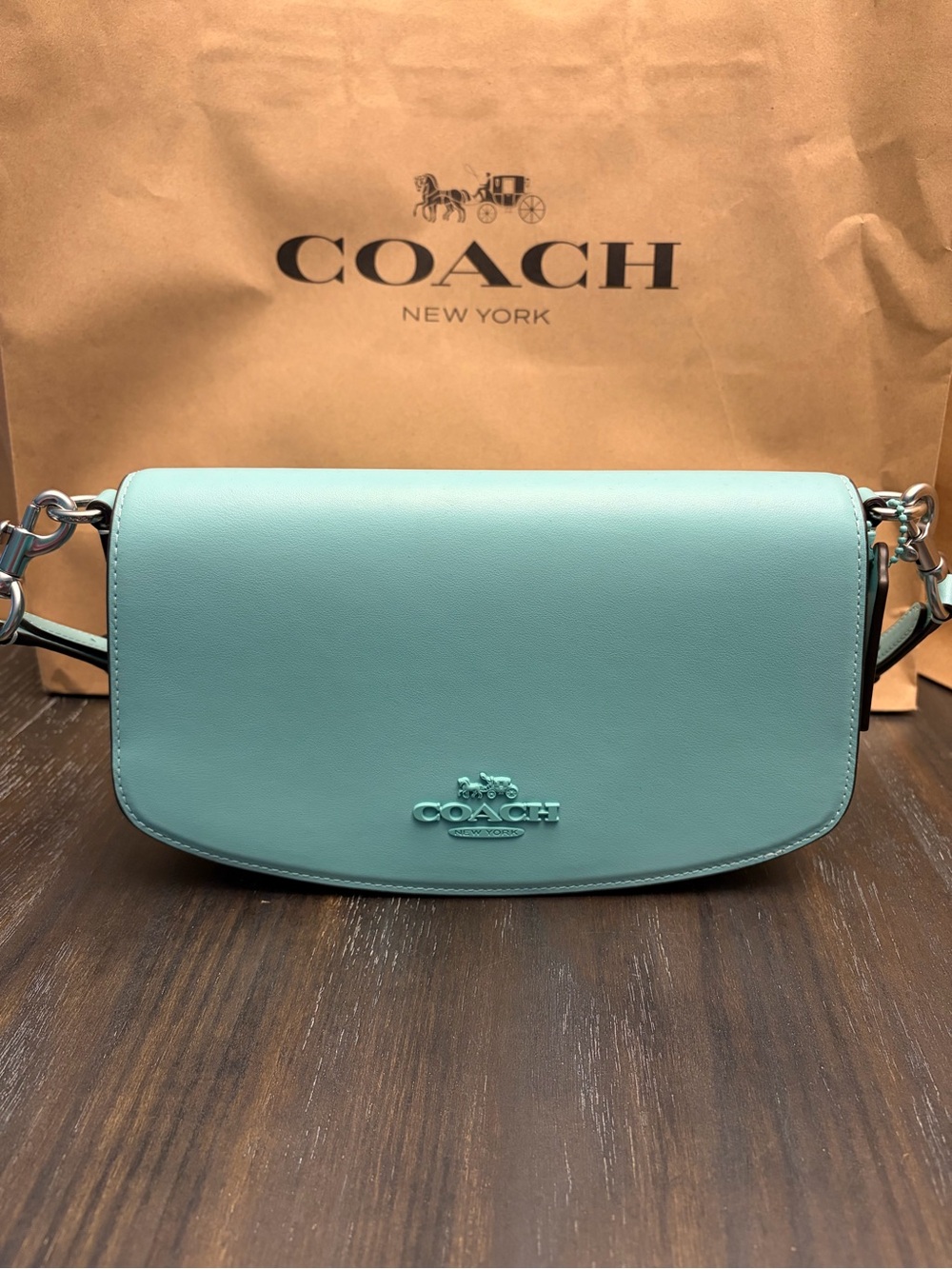 COACH Andrea Shoulder Bag